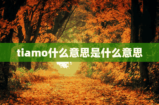 tiamo什么意思是什么意思